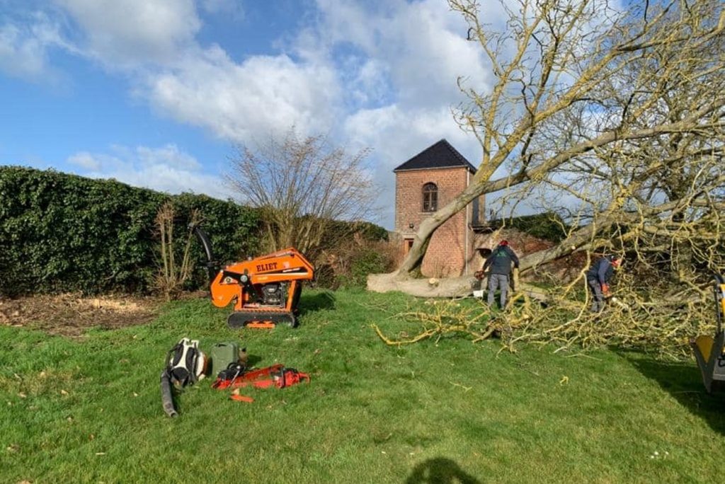 Équipe au travail sur un grand arbre abattu dans un jardin, avec une broyeuse de branches orange