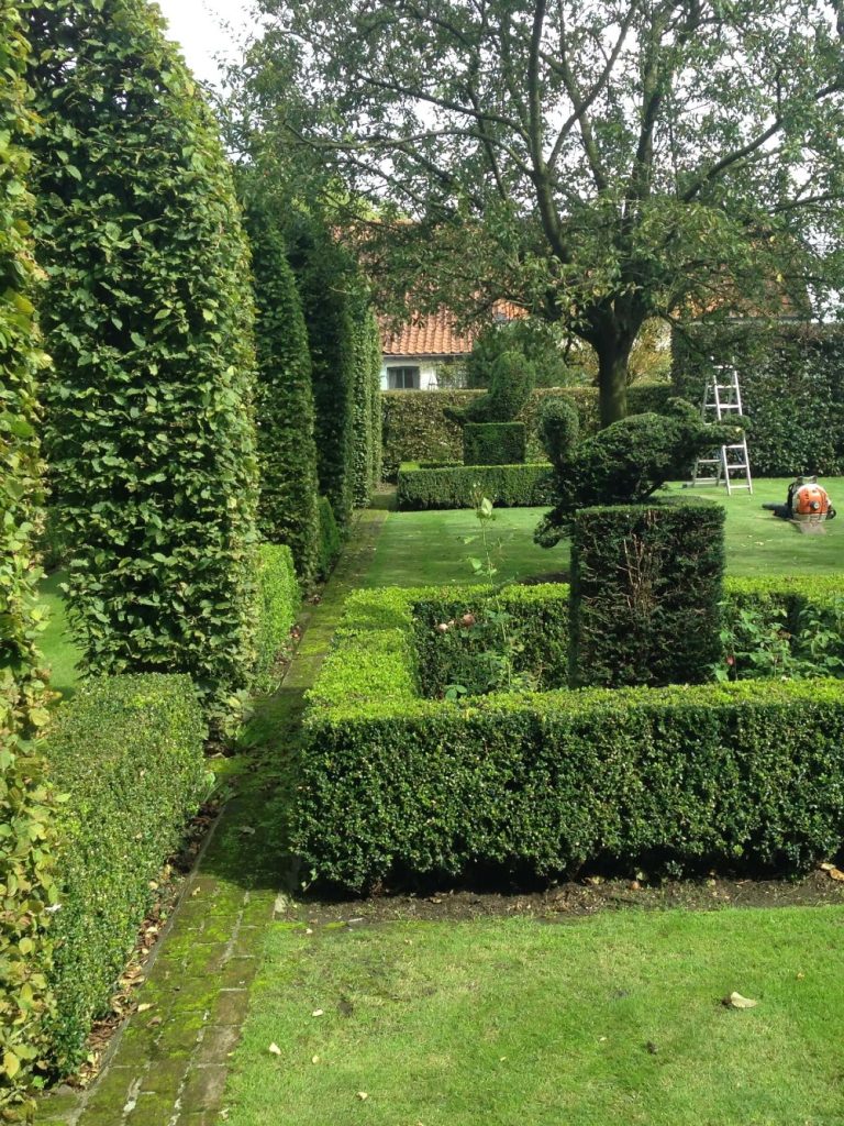 Haies taillées, topiaires et pelouse rayée dans un jardin d’agrément